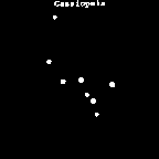 Cas