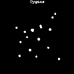 Cyg